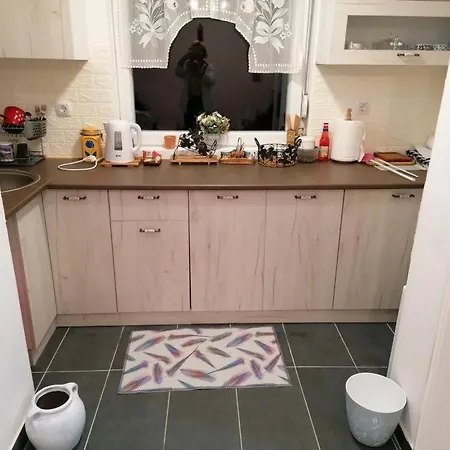 Takovska Noc Case de vacanță Donji Branetici