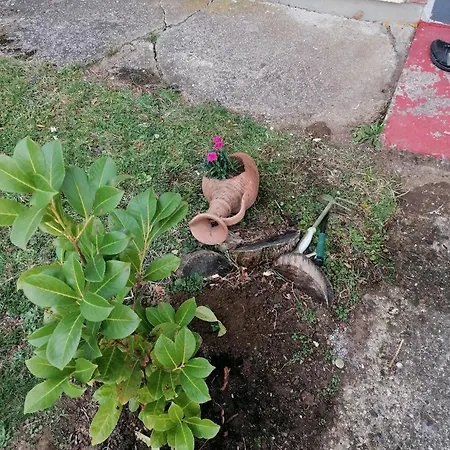 Takovska Noc Σπίτι διακοπών