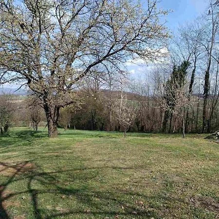 Takovska Noc * Donji Branetici