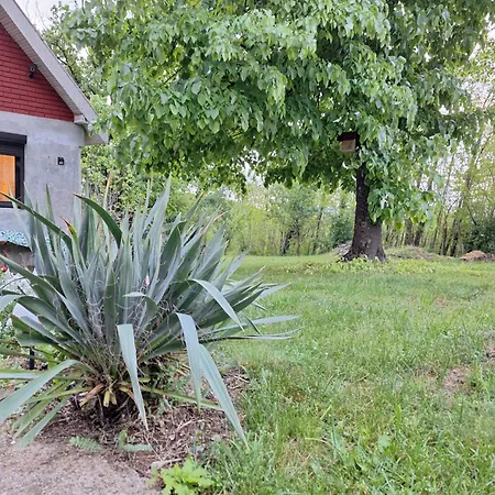 Takovska Noc Case de vacanță *